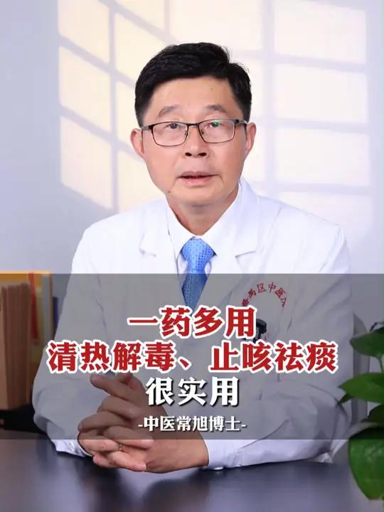 一药多用,清热解毒、止咳祛痰很实用