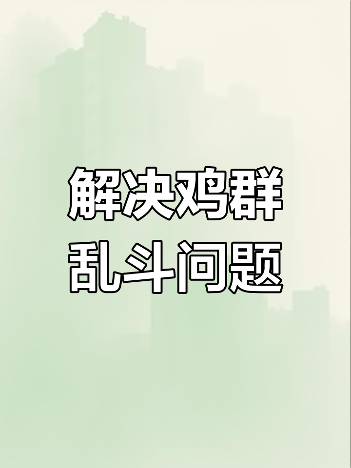 鸡群打架啄毛吃鸡蛋?这些原因你得知道