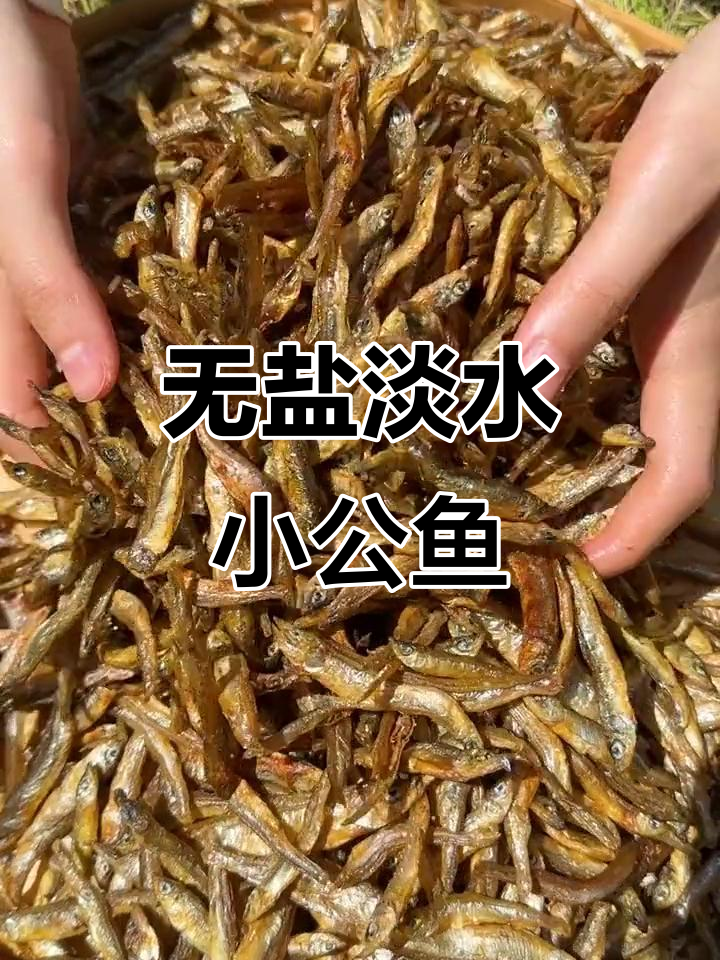 湖南特产淡水小公鱼,无泥沙、鲜美无比