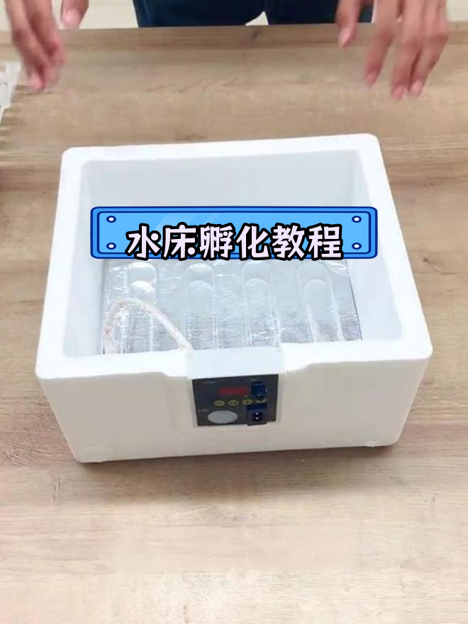 水床孵化箱使用指南:如何孵小鸡