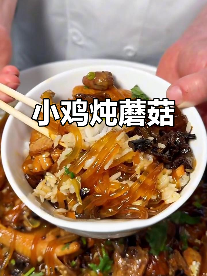 东北经典小鸡炖蘑菇，配粉条汤汁拌饭超香