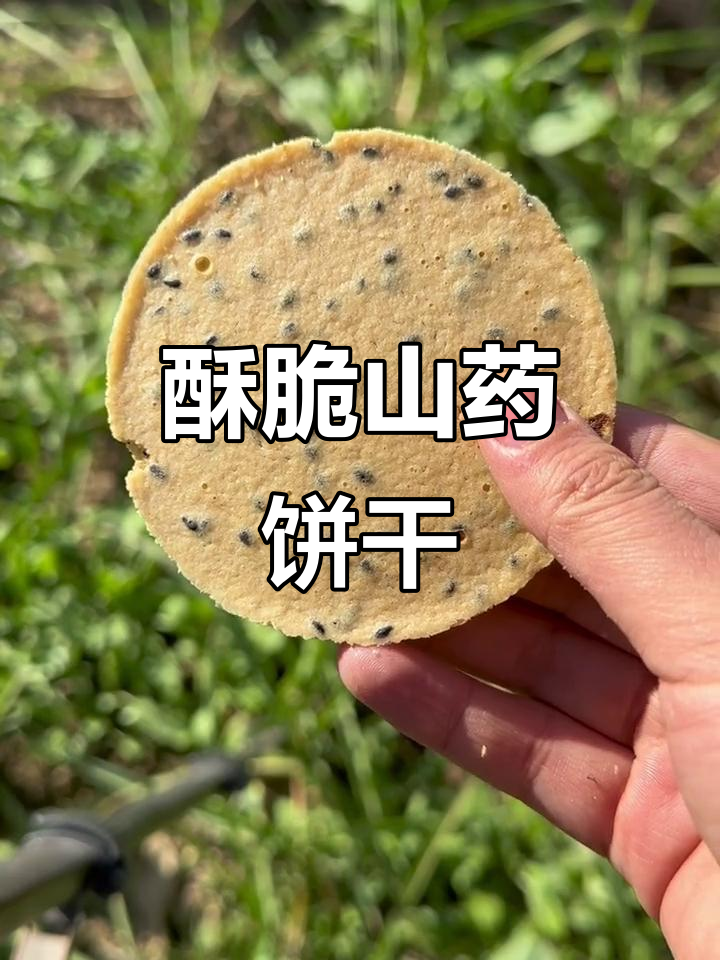 香脆山药饼干,黑芝麻与山楂两种口味任你选