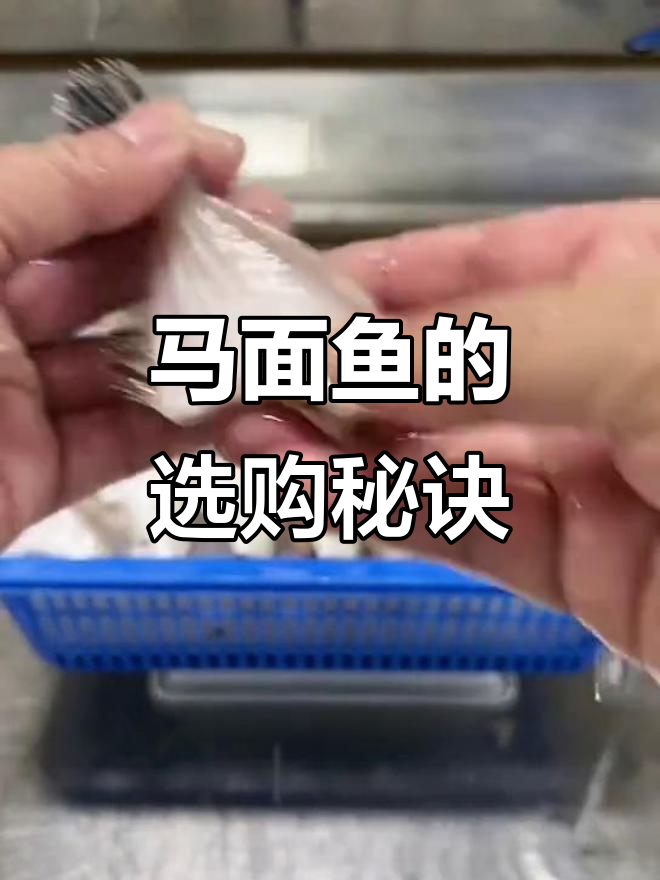 马面鱼头骨去除技巧，安全又新鲜