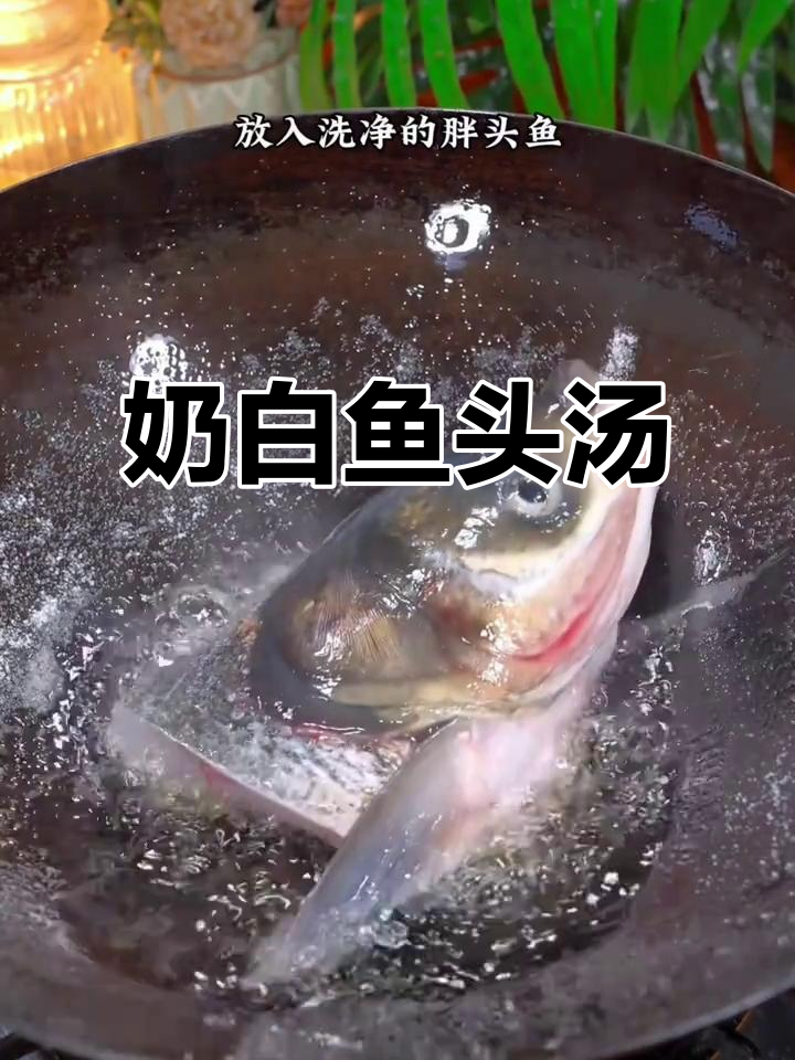 鱼头豆腐汤,鲜美浓郁,轻松煮出奶白汤色