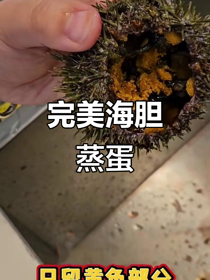 海胆蒸蛋全步骤，鲜美无比的独特做法