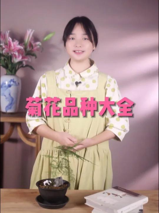菊花品种大全(花艺人必知)