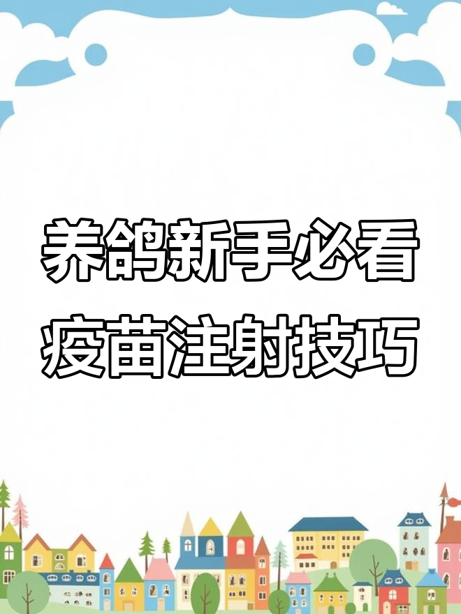 鸽子幼苗疫苗注射全攻略,注意事项一次讲清楚