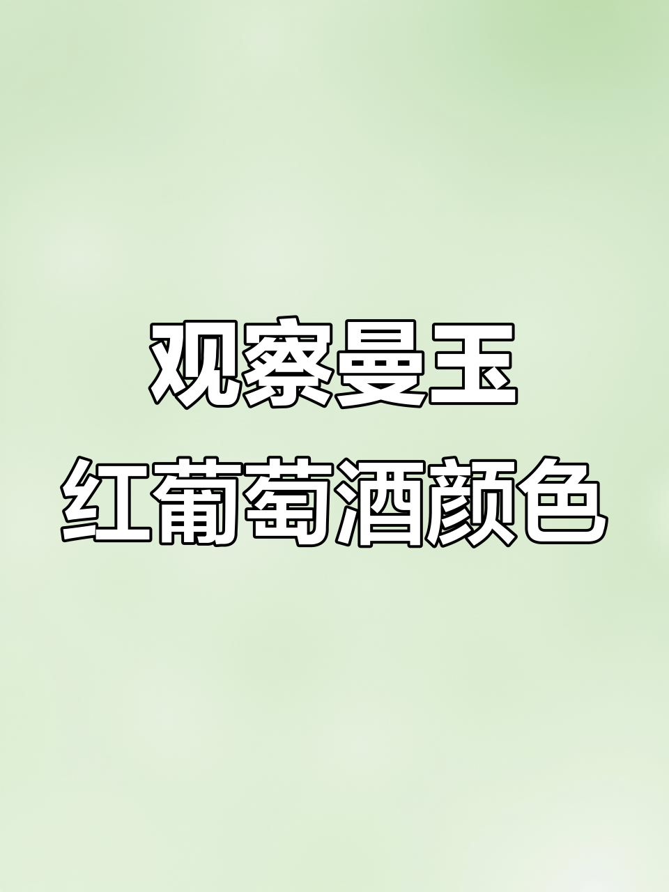 意大利经典红酒曼玉:深宝石红色与平衡口感的完美结合
