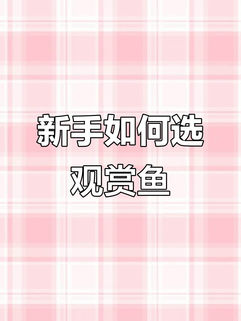 新手养热带鱼必知技巧,水族箱选购指南