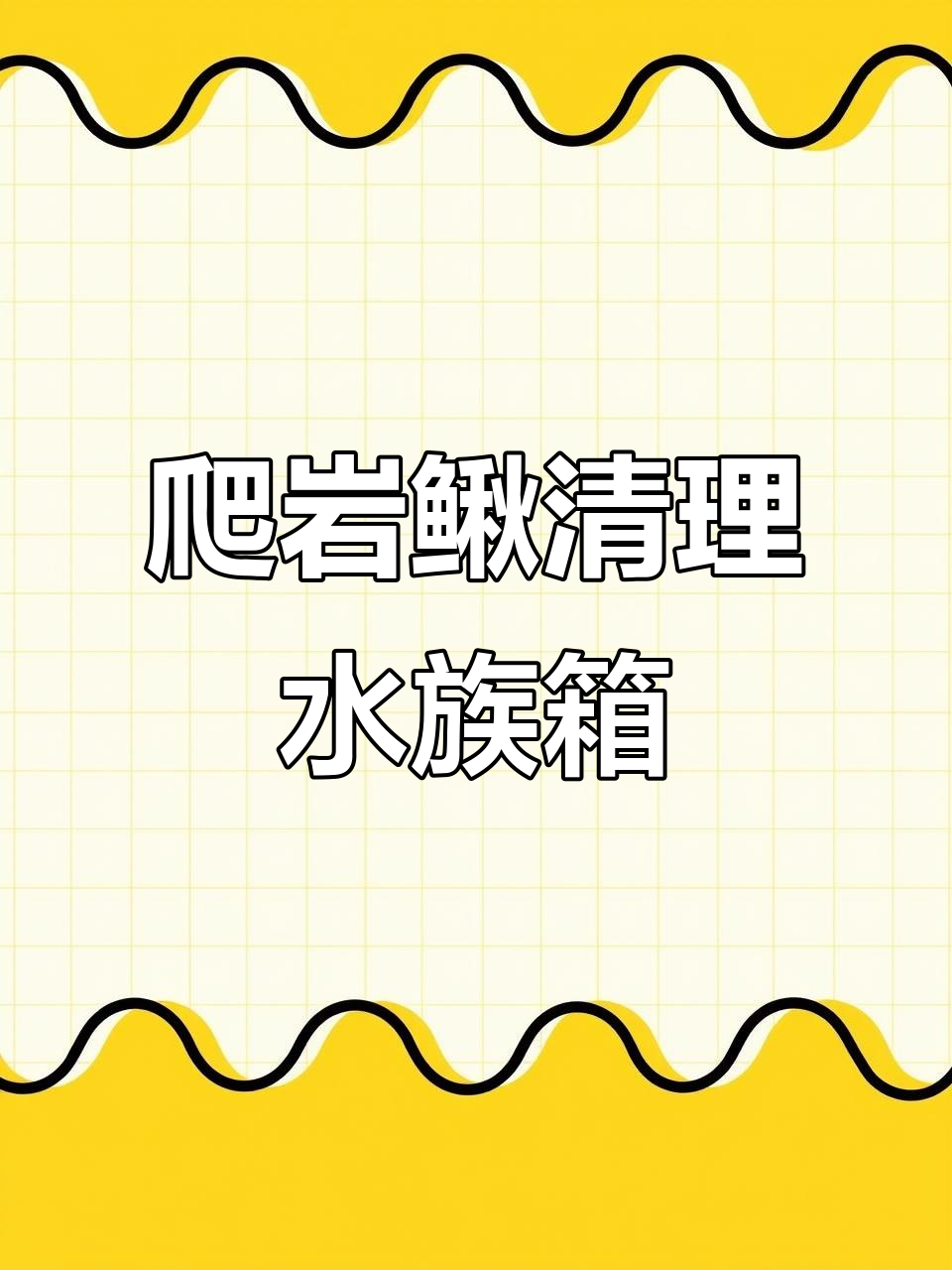 爬岩鳅:鱼缸清洁小能手,吸盘强劲让水质焕然一新