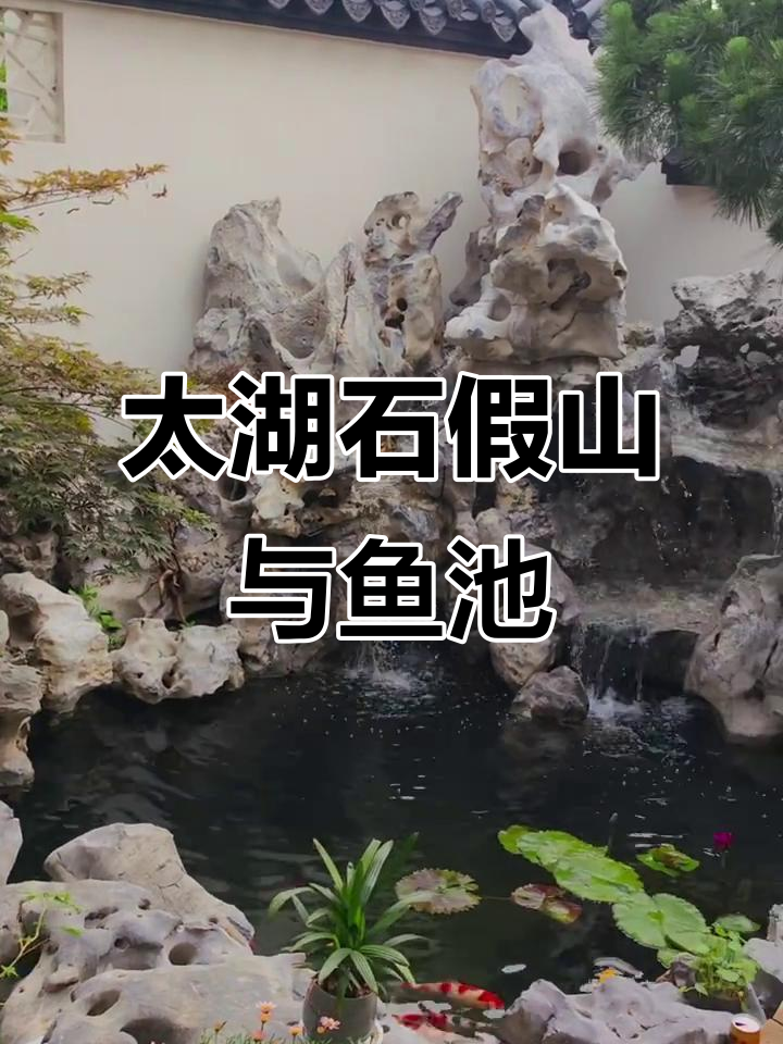 太湖石假山造景,鱼池设计完美融合