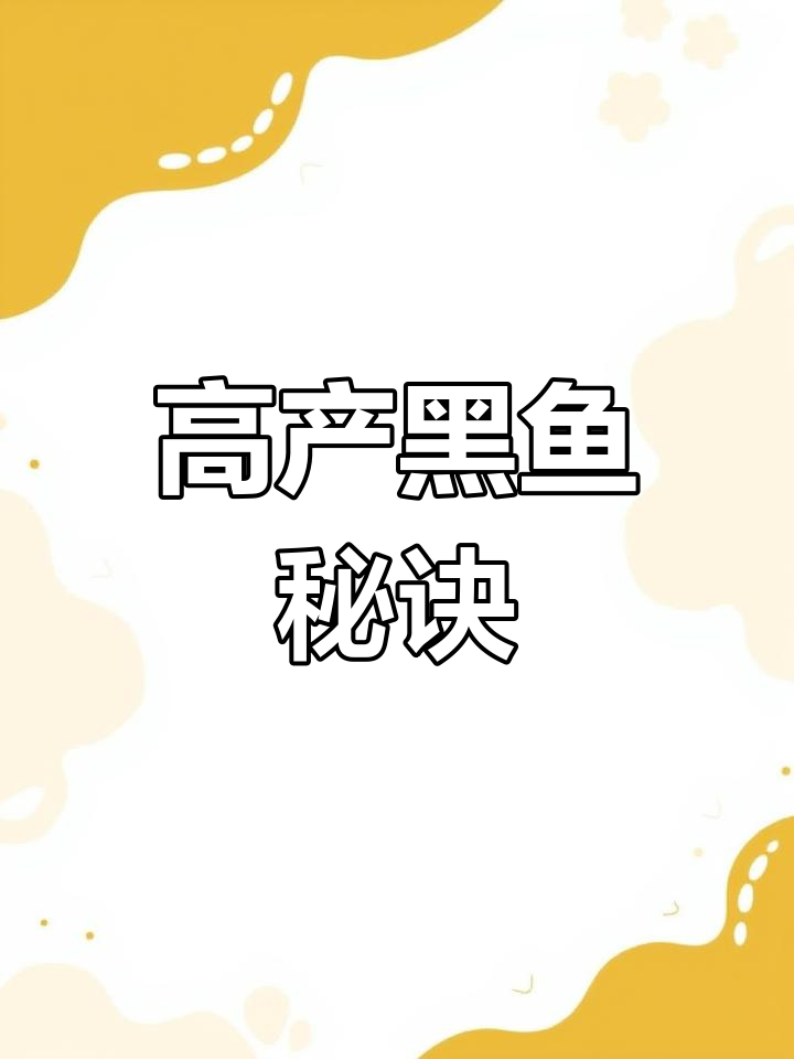 黑鱼养殖轻松管理,高产量靠内脏饲料