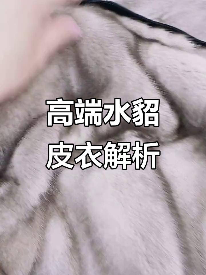水貂皮衣大揭秘!这款派克服太值了,细节满分