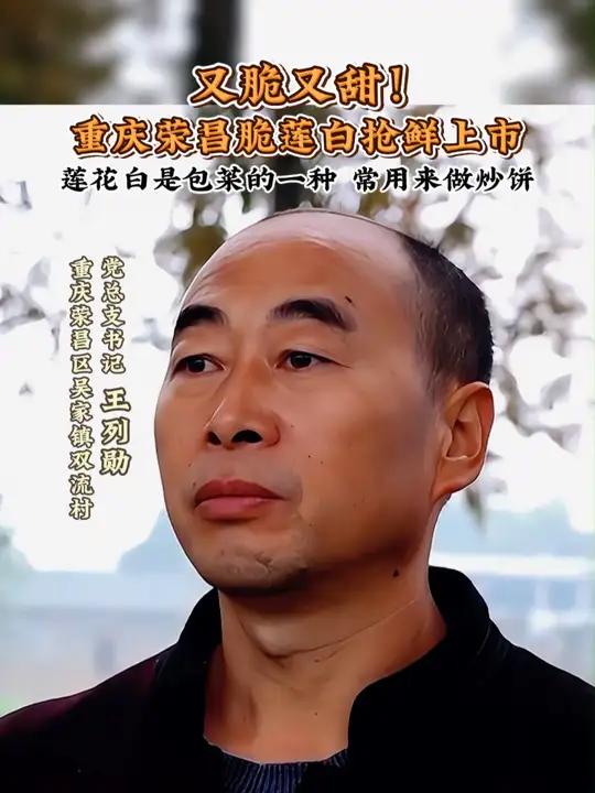 又脆又甜!重庆荣昌脆莲白抢鲜上市。莲花白是包菜的一种,常用来做炒饼。莲花白 包菜 三农 新