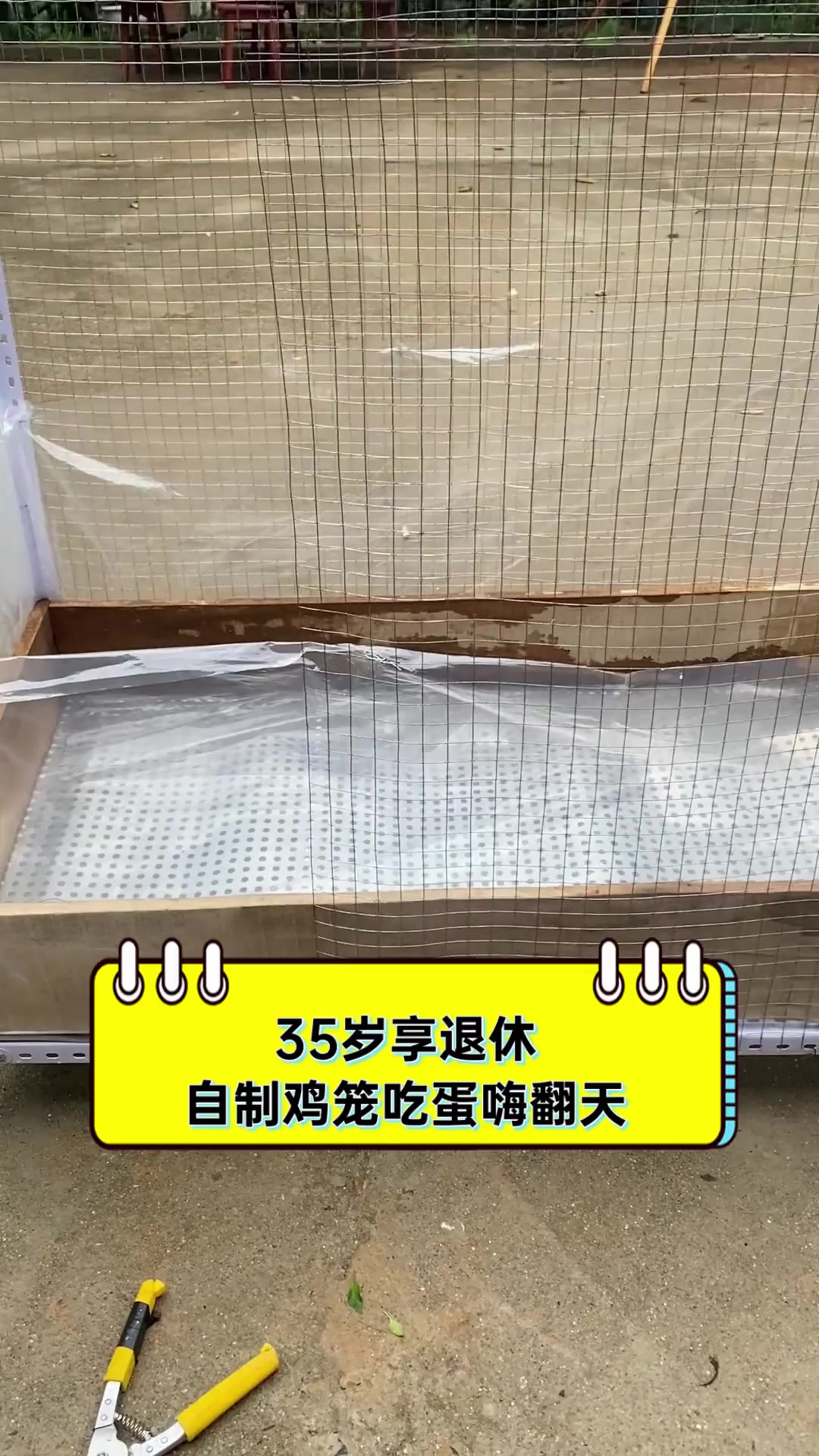 35岁享退休,自制鸡笼吃蛋嗨翻天