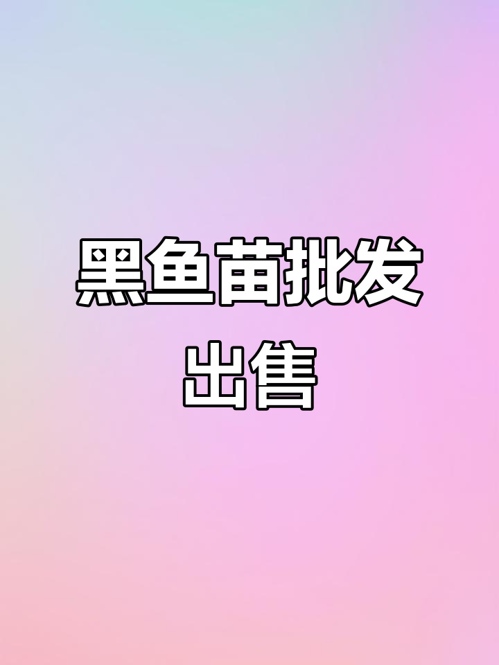 二月十九日黑鱼苗批发,规格均匀空运重庆机场
