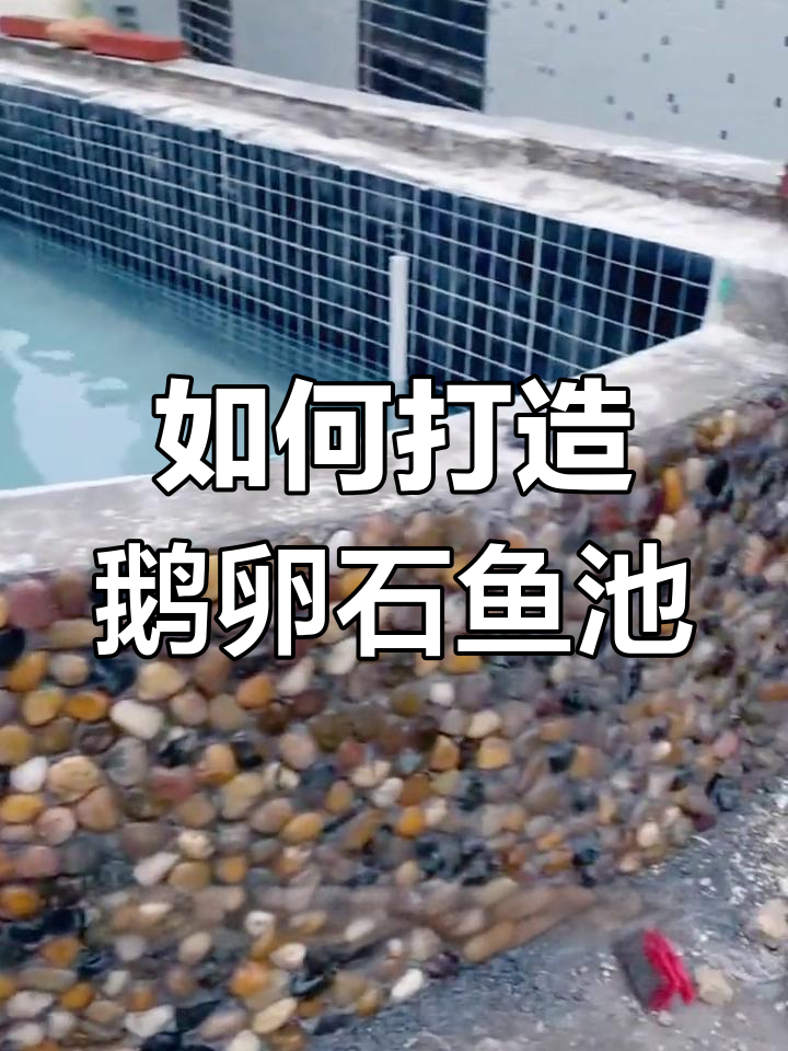 鹅卵石鱼池建造全流程