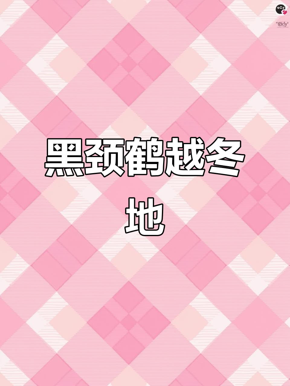 大山包,黑颈鹤的冬季家园