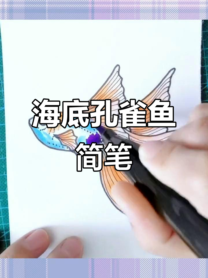 亲子海底世界：简笔画孔雀鱼，萌趣海洋生物来啦！