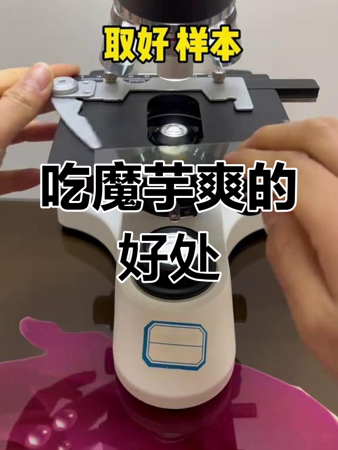 魔芋爽素毛肚的秘密