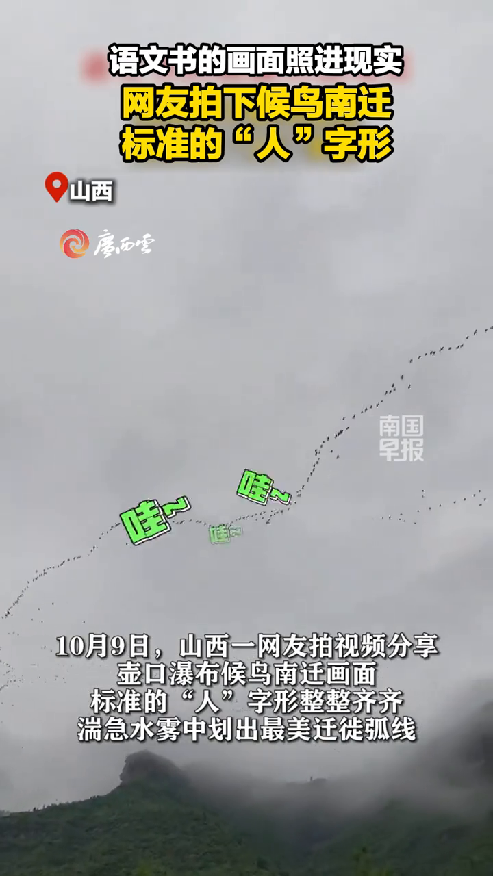 语文书的画面照进现实，网友拍下候鸟南迁标准的“人”字形