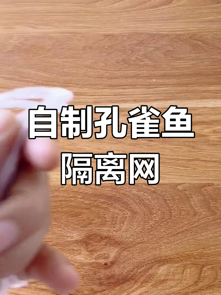 DIY孔雀鱼隔离网,简单又实用