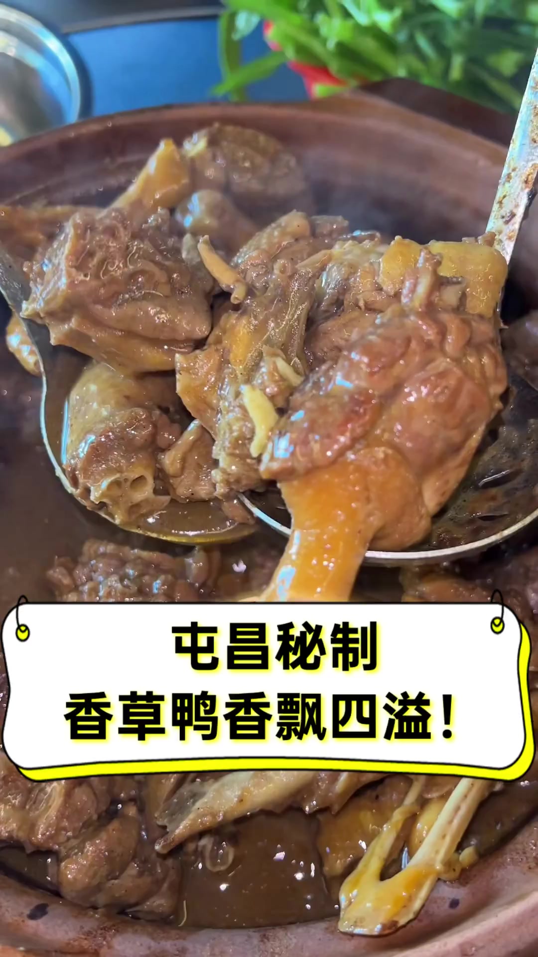 屯昌秘制,香草鸭香飘四溢!