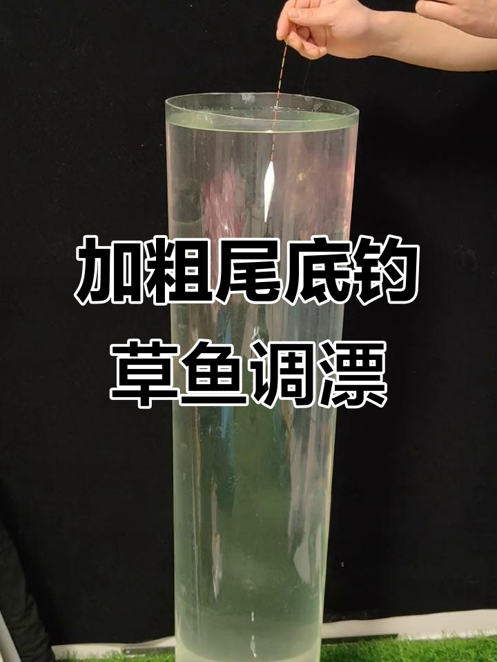 钓草鱼如何调漂?加粗尾浮漂挂玉米技巧大揭秘