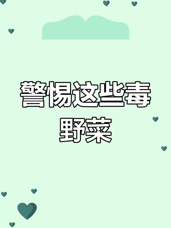 这些常见野菜可能有毒,吃之前要小心