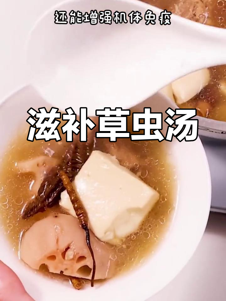 滋补美味,草虫炖汤,营养满分,赶紧试试吧!