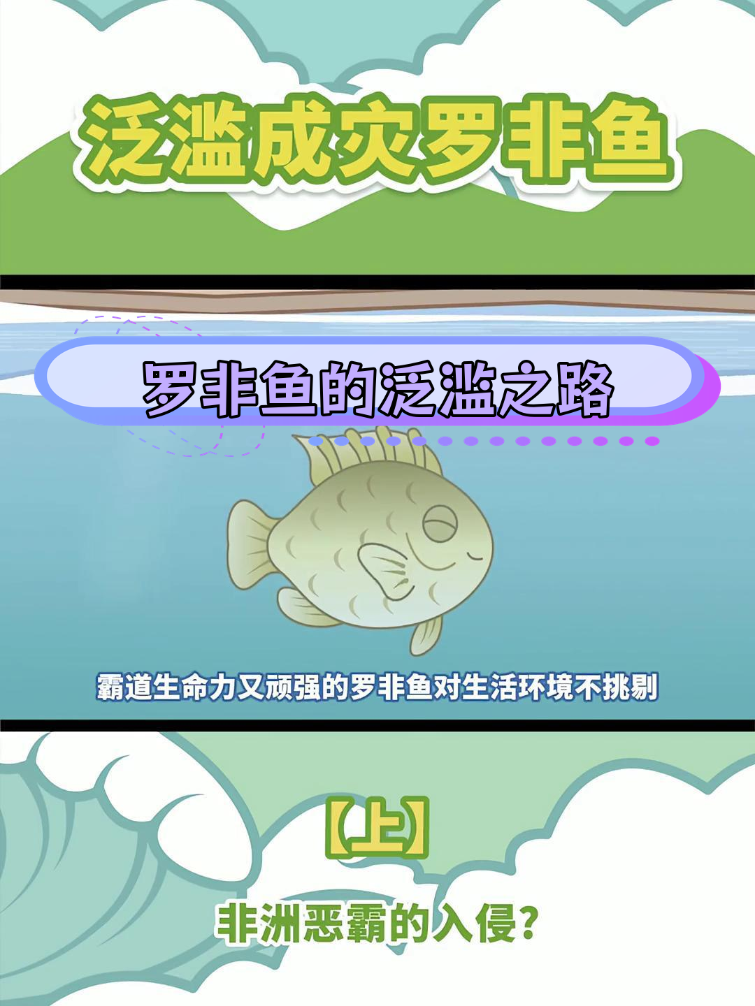 罗非鱼为何从经济鱼类变成入侵物种?