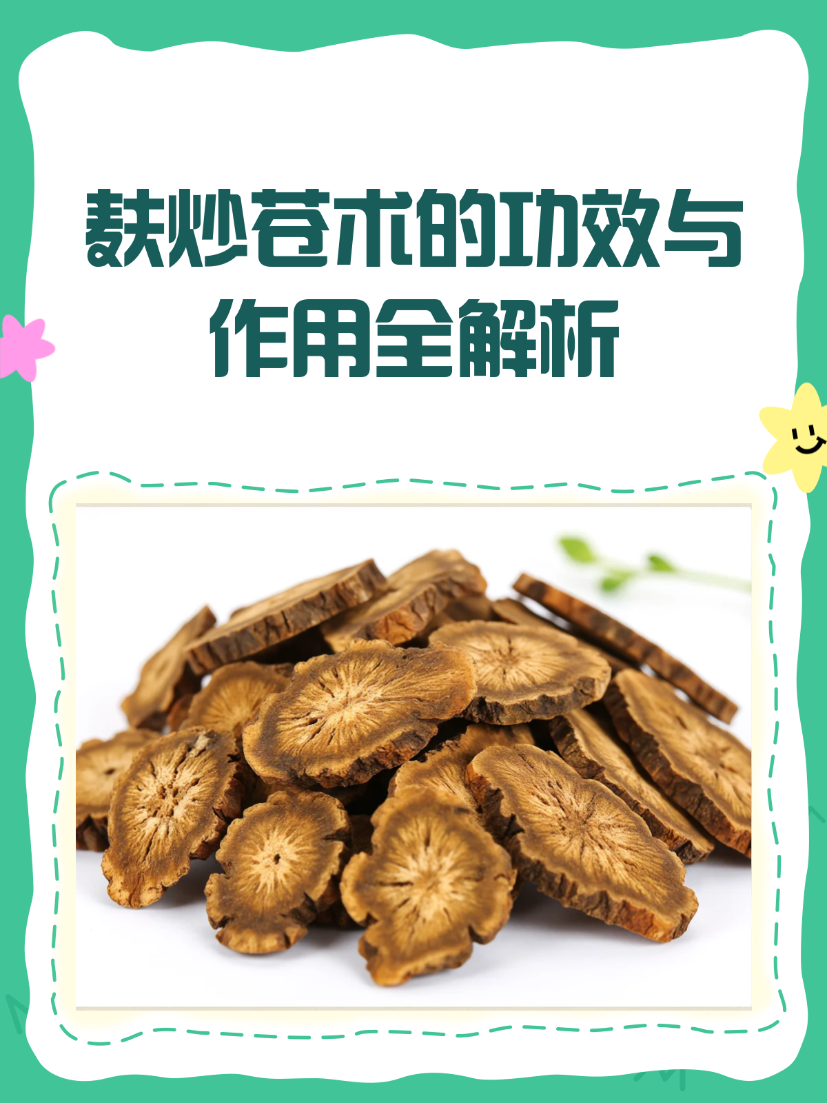 麸炒苍术,脾胃守护者还是风湿克星?