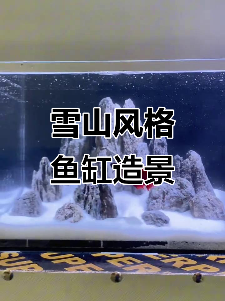 雪山鱼缸造景挑战，石头与沙子的完美结合