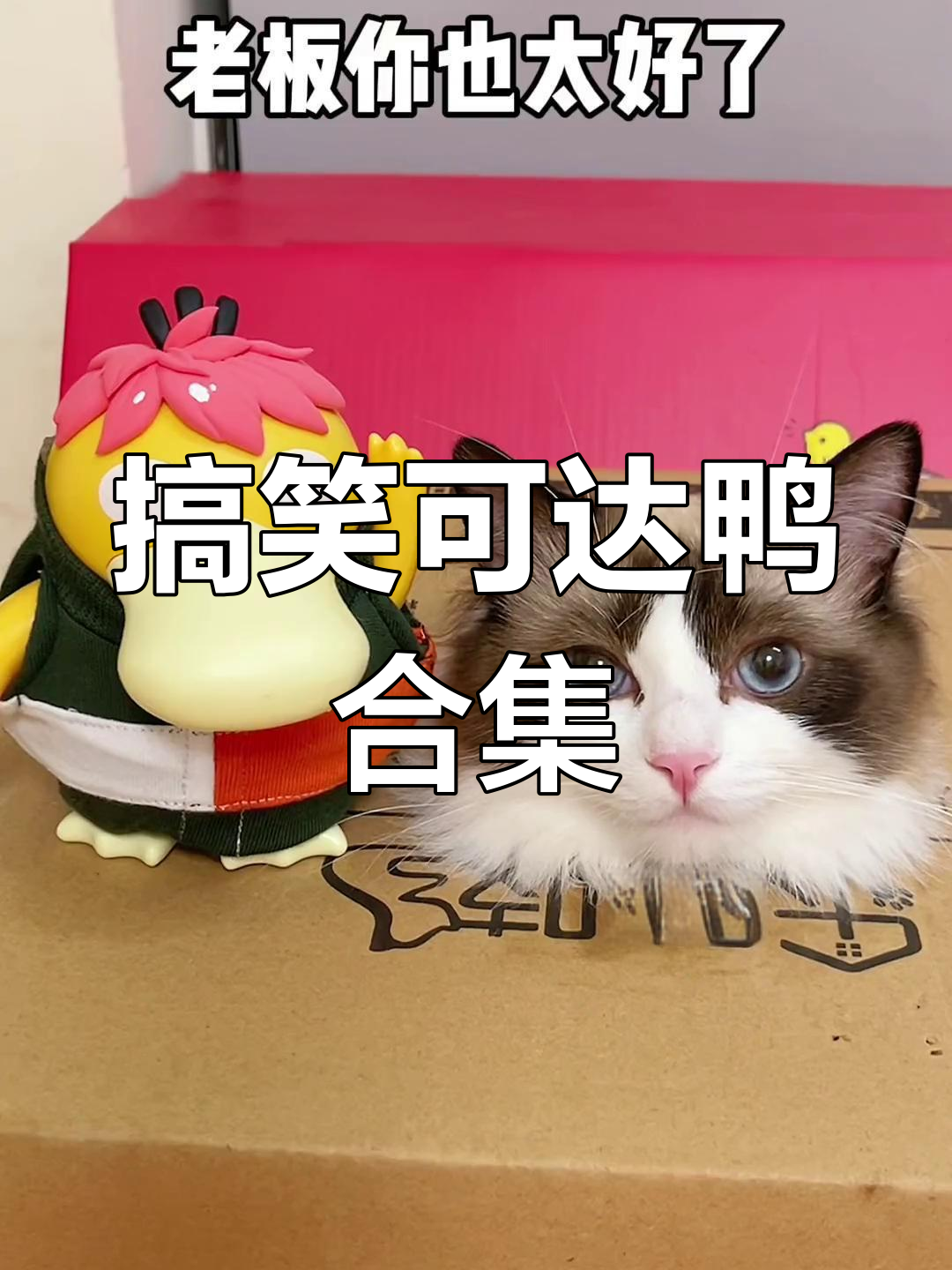 这些可达鸭太搞笑了,跳舞、变装样样来!