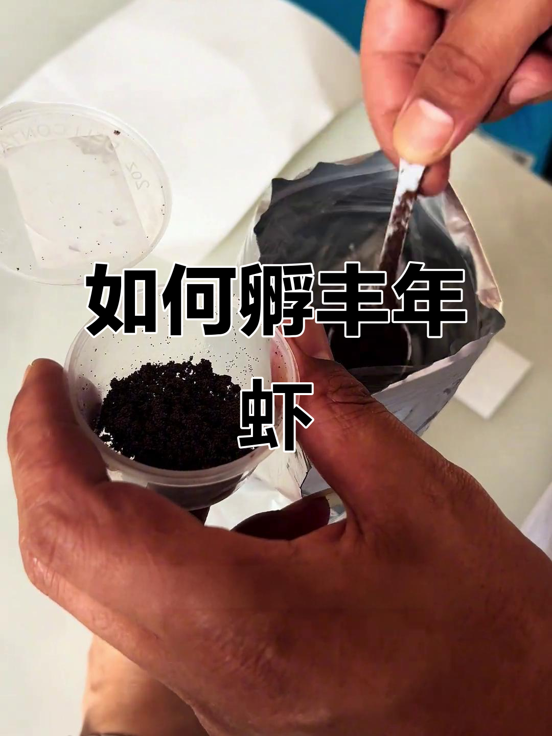 丰年虾孵化全流程，轻松掌握技巧