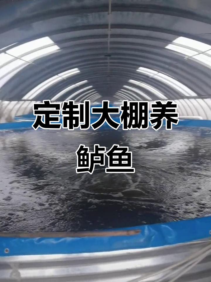 大棚改造养殖鱼池,定制尺寸满足你的需求
