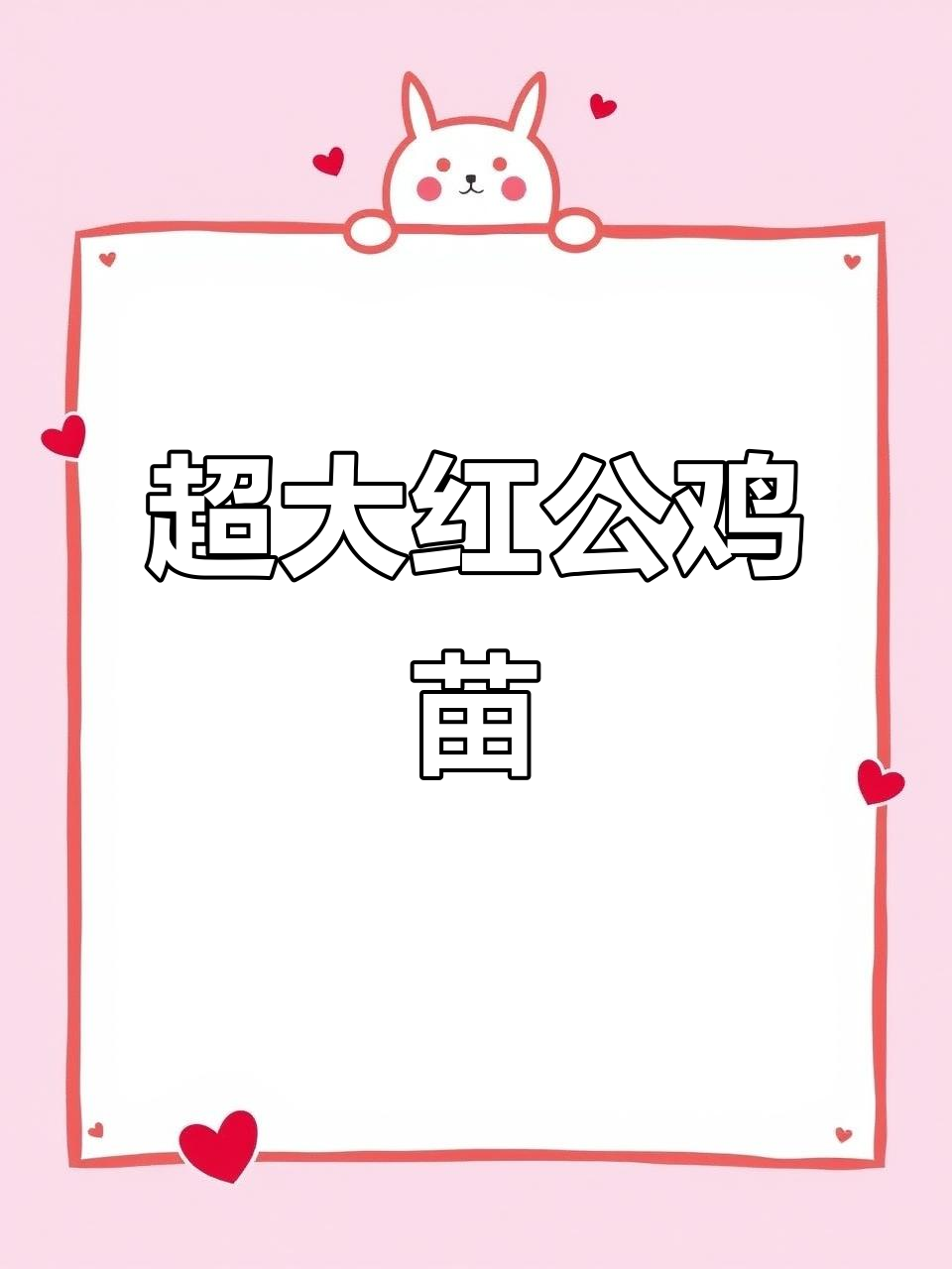 红玉380大红公鸡苗:从小到大的成长历程,适合圈养放养