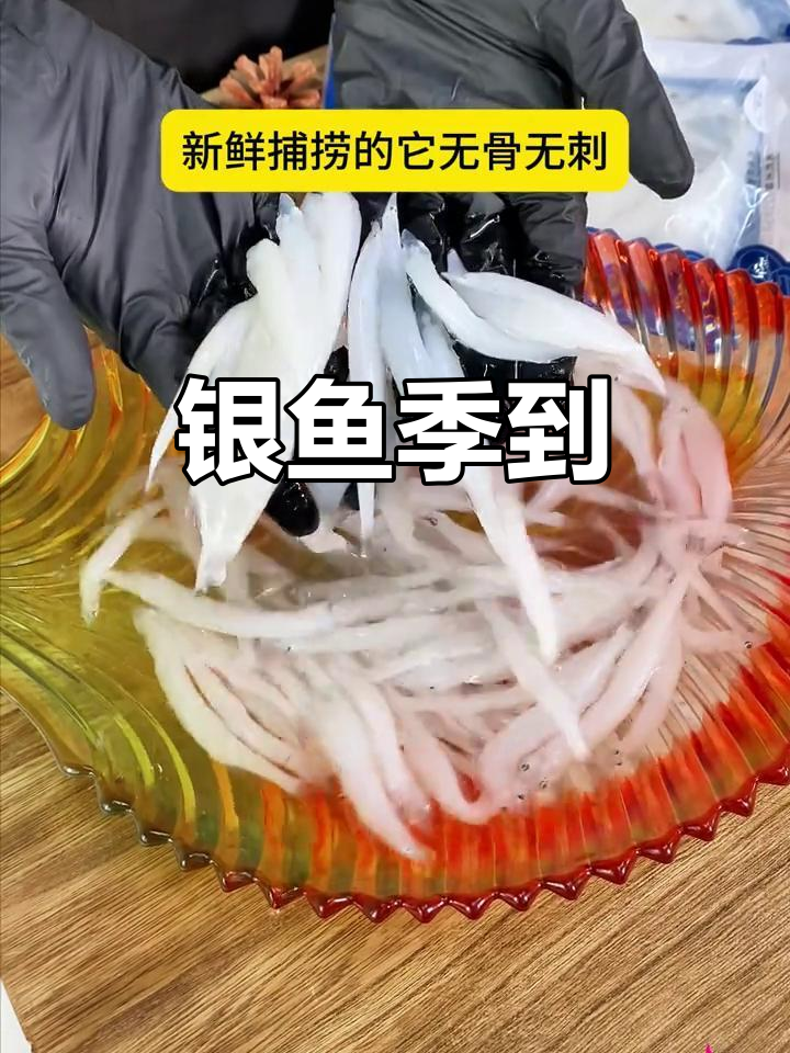 8月银鱼季节来临,鲜嫩无刺营养好!