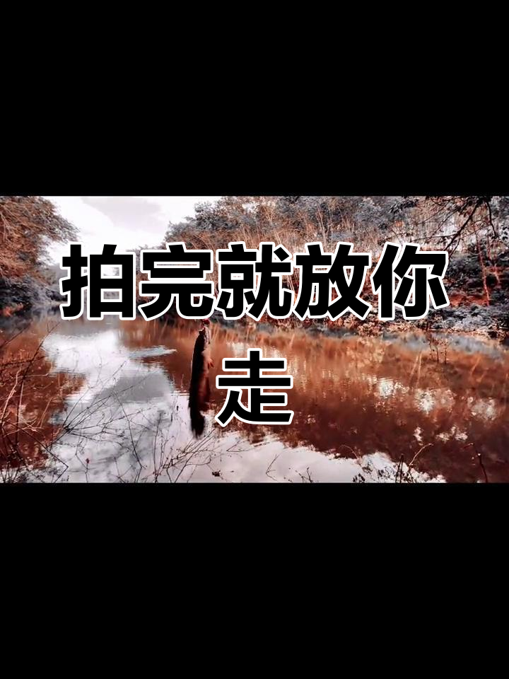 西双版纳路亚之旅:南鳢的自由时光