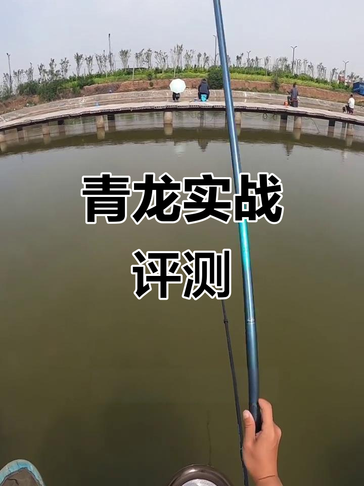 名伦青龙实战测试，中小炮必备选择