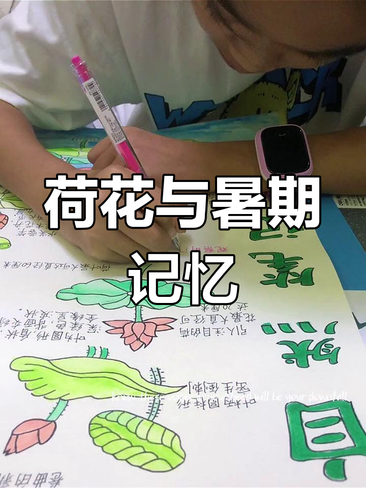 荷花自然笔记:暑假倒计时,手抄报作业完成!