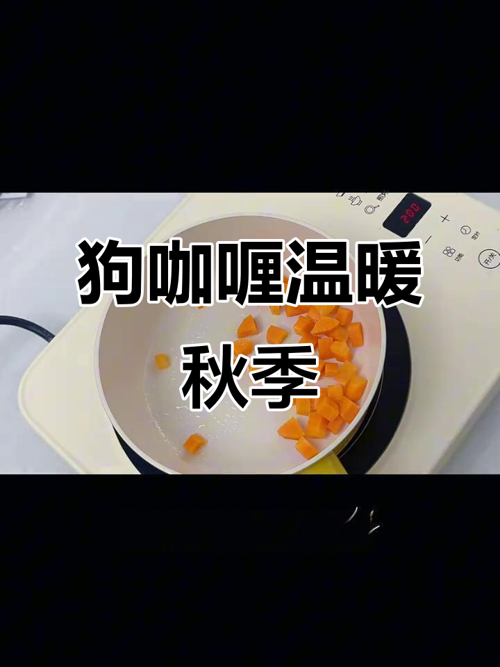 秋天到了,给狗狗做份暖心咖喱饭吧!