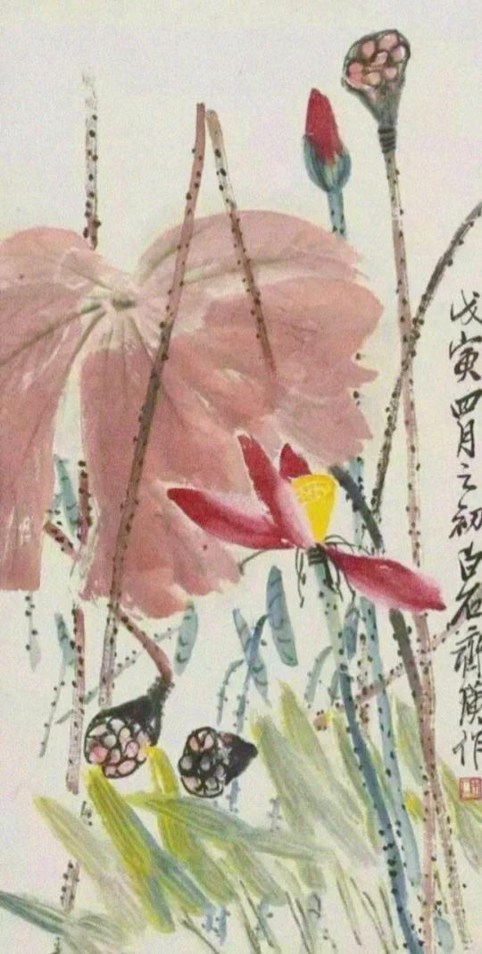 白露赏齐白石笔下荷花