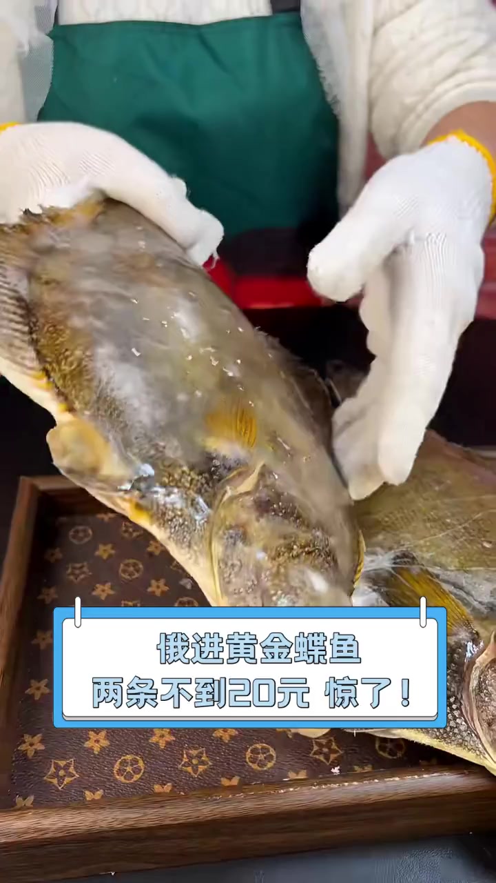 俄进黄金蝶鱼,两条不到20元,惊了!