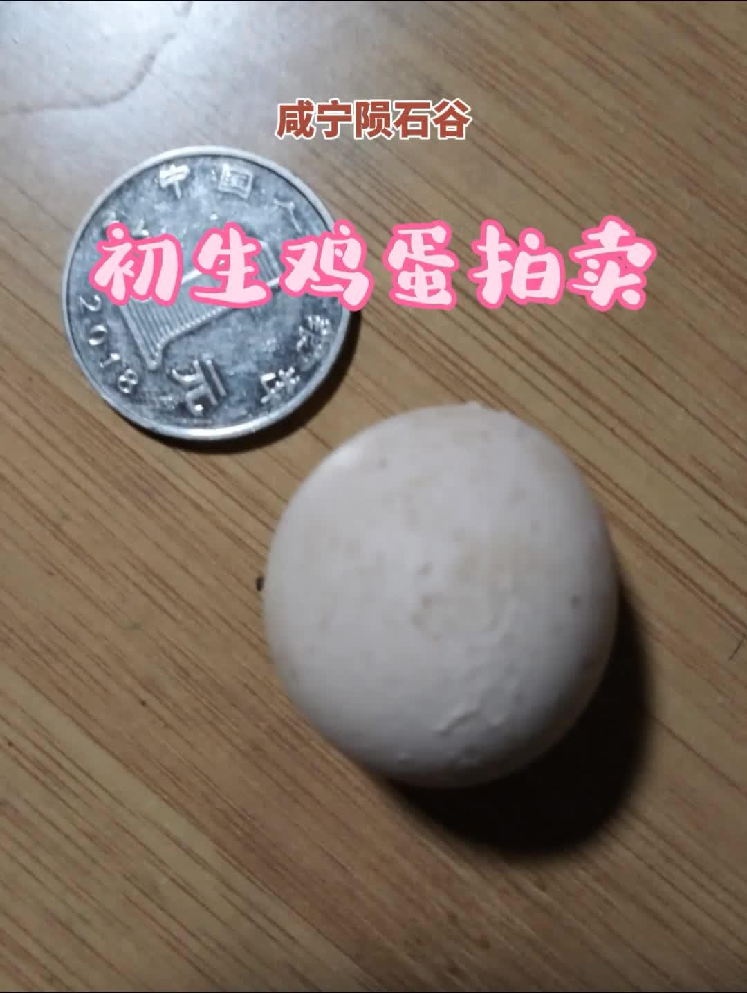 土鸡蛋 看看能换多少钱 农村散养土鸡 初生蛋 随拍
