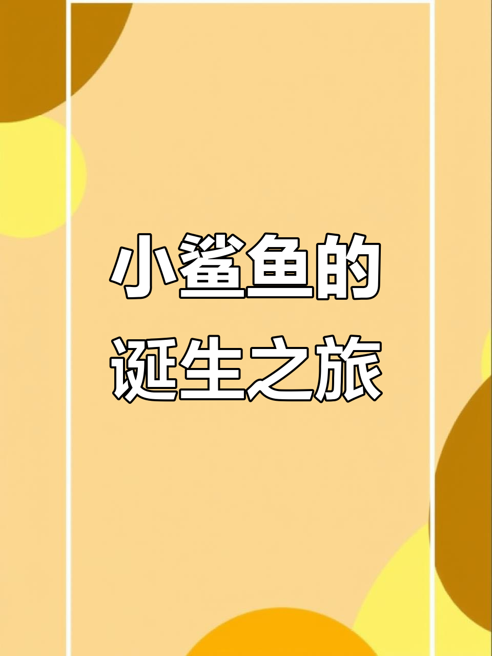 30天孵化小鲨鱼，迷你宝宝们的成长故事