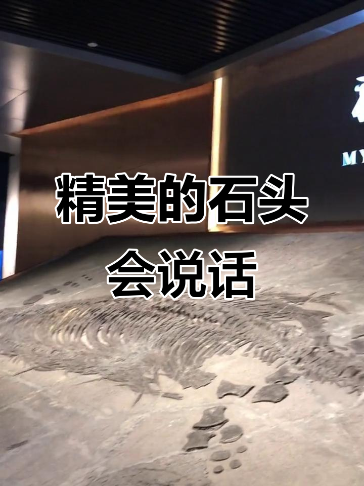 石头也能开口说话,听!