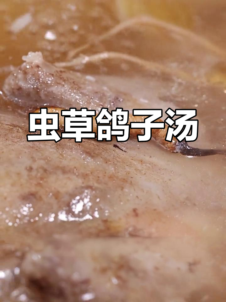 炖鸽子汤的秘诀,营养翻倍