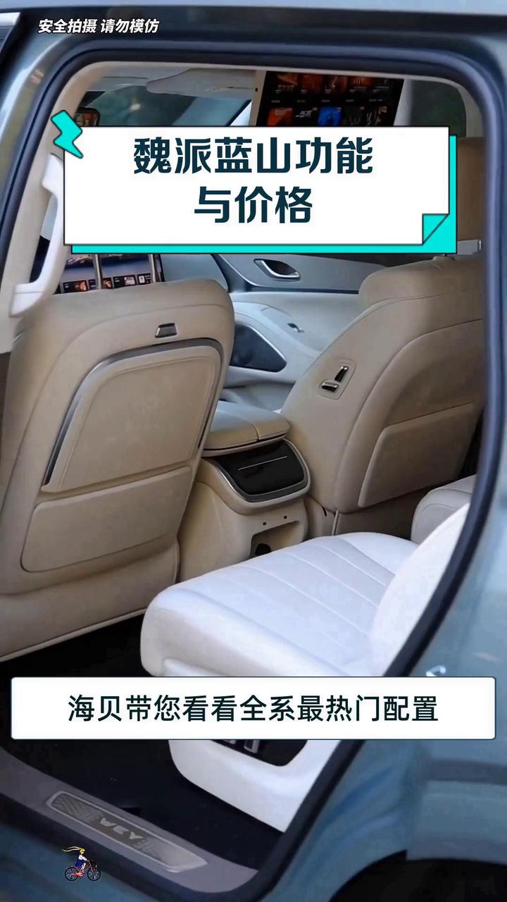 魏派蓝山功能与价格