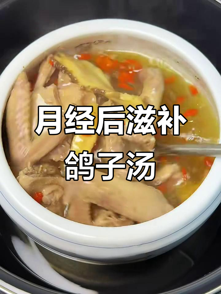 每月炖鸽子汤,补气血效果超赞